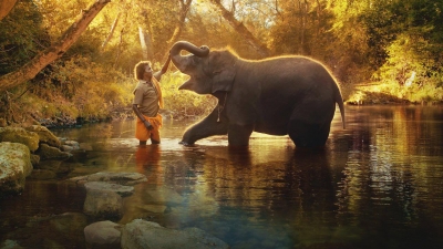 Oscar-winning ‘Elephant Whisperers’ shot at Theppakadu camp, oldest in Asia