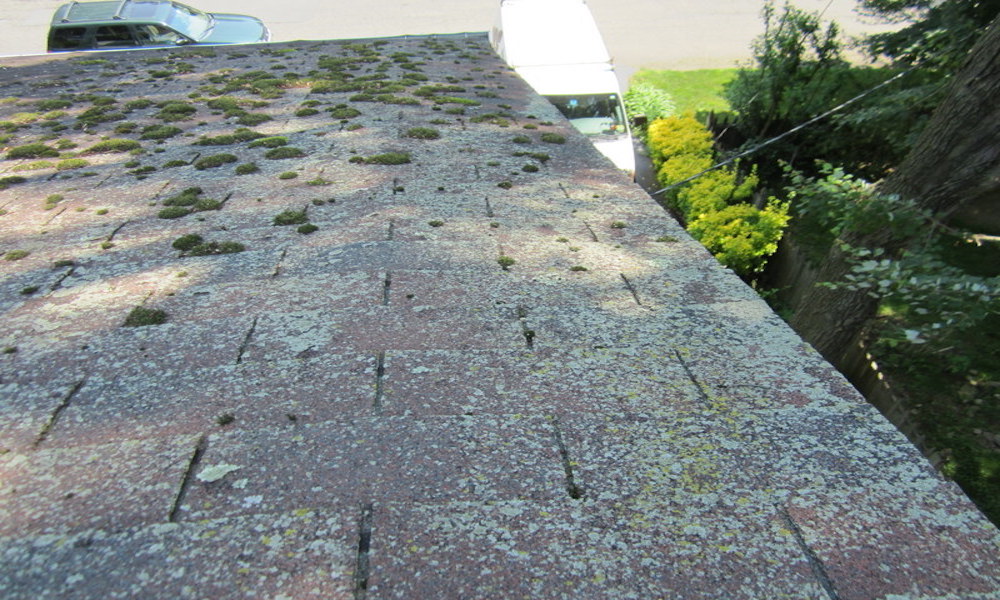 How to Repair a Roof Leak in New Jersey: A Step-by-Step Guide