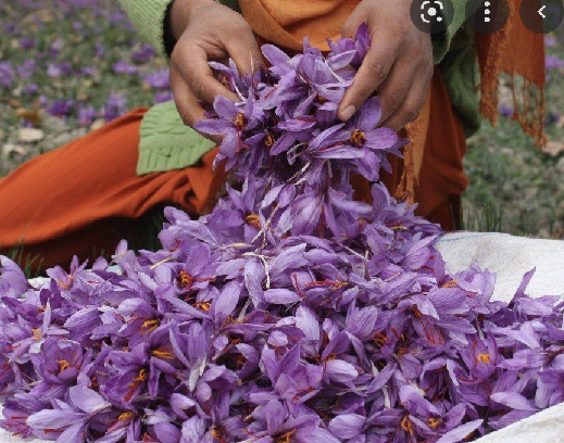 How To Use Saffron In Food?