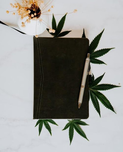 THE IMPORTANCE OF A CANNABIS BUSINESS PARTNERSHIP