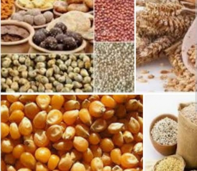 Prices of cereals to be about 15% higher: CRISIL