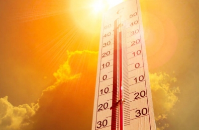 Soaring temperatures: Kerala SDMA asks people to avoid direct sunlight from 11 am to 3 pm