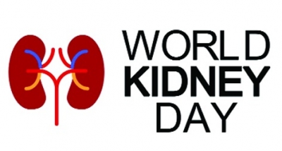Lifestyle changes help to prevent kidney diseases: Experts