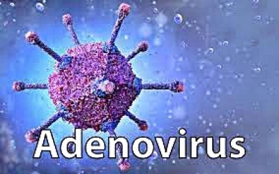 Adenovirus: Three more child deaths reported from Kolkata
