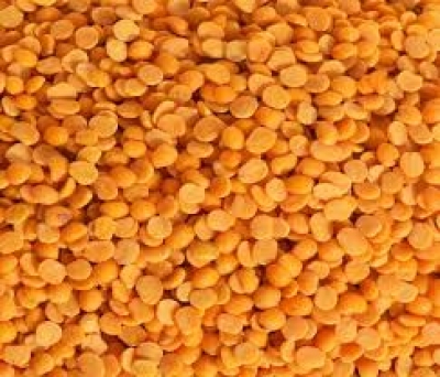 Govt sets up monitoring committee to prevent hoarding of Tur dal stocks