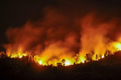 Spanish wildfire still out of control after erupting last week