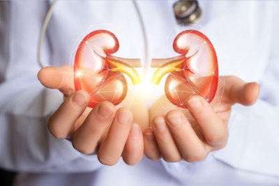New inflammation gene may help personalise kidney disease treatment