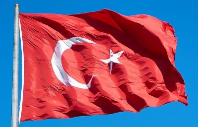 Turkey summons Danish ambassador over anti-Islam protests