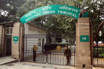 NGT fines NCL Rs 10 cr for unscientific storing of 1.5 lakh tonnes coal in UP