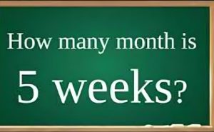 how many months have 5 weeks